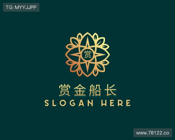 剖析赏金船长